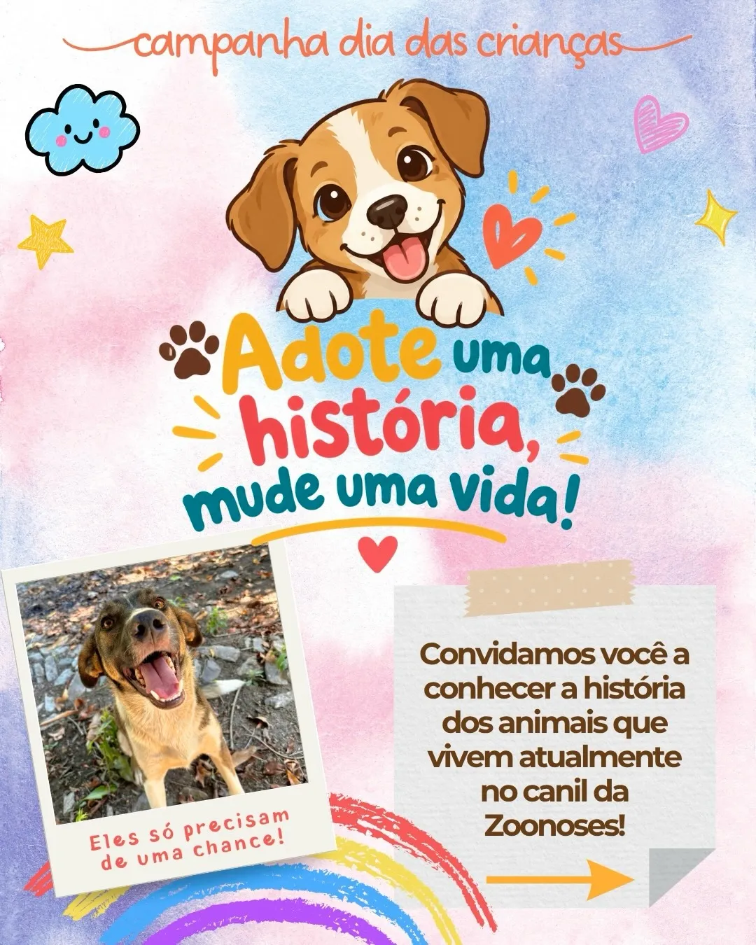 Adoção de cães e gatos no canil da Zoonoses