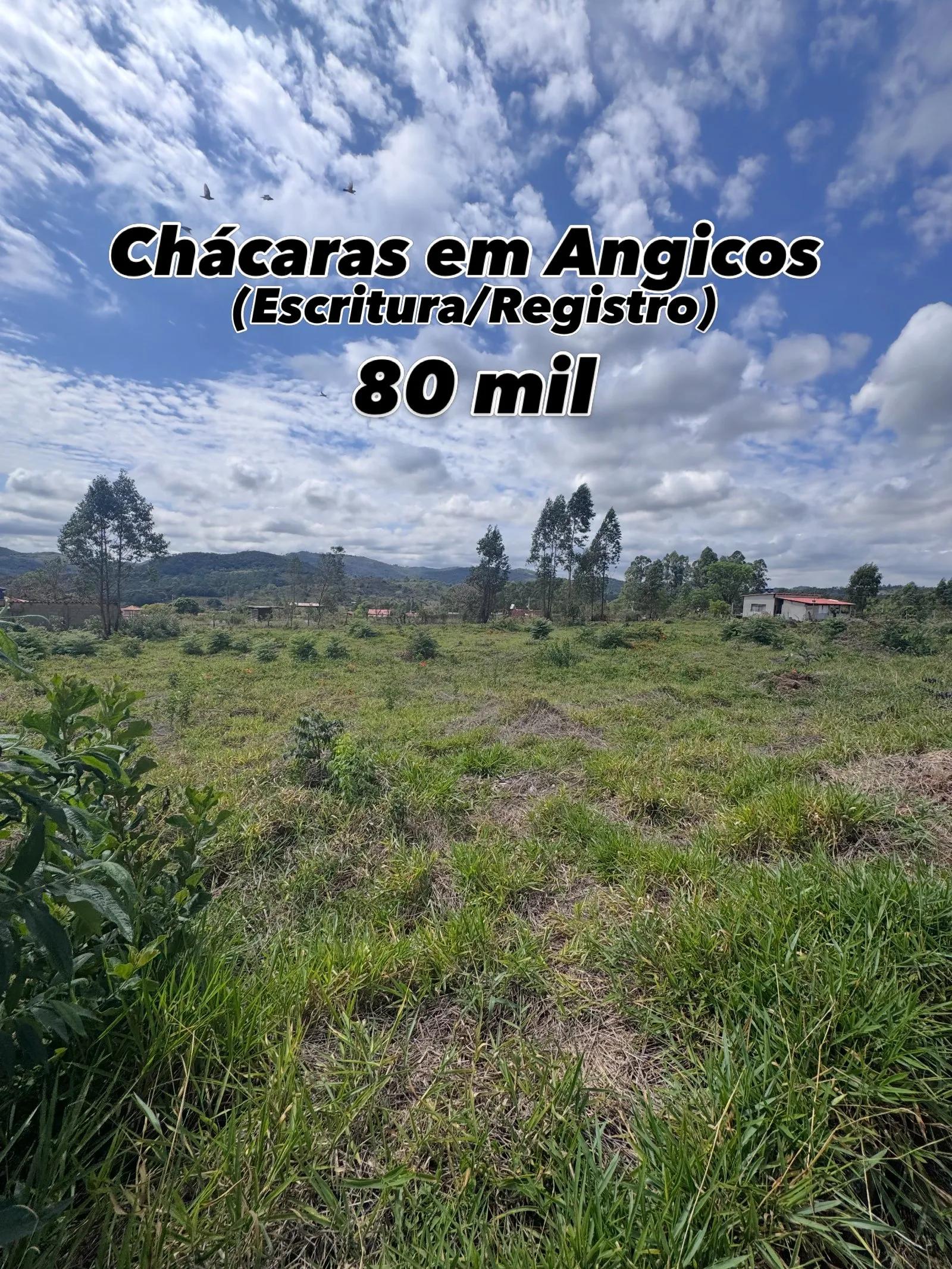 Chácaras em Angicos com 840 m² à venda