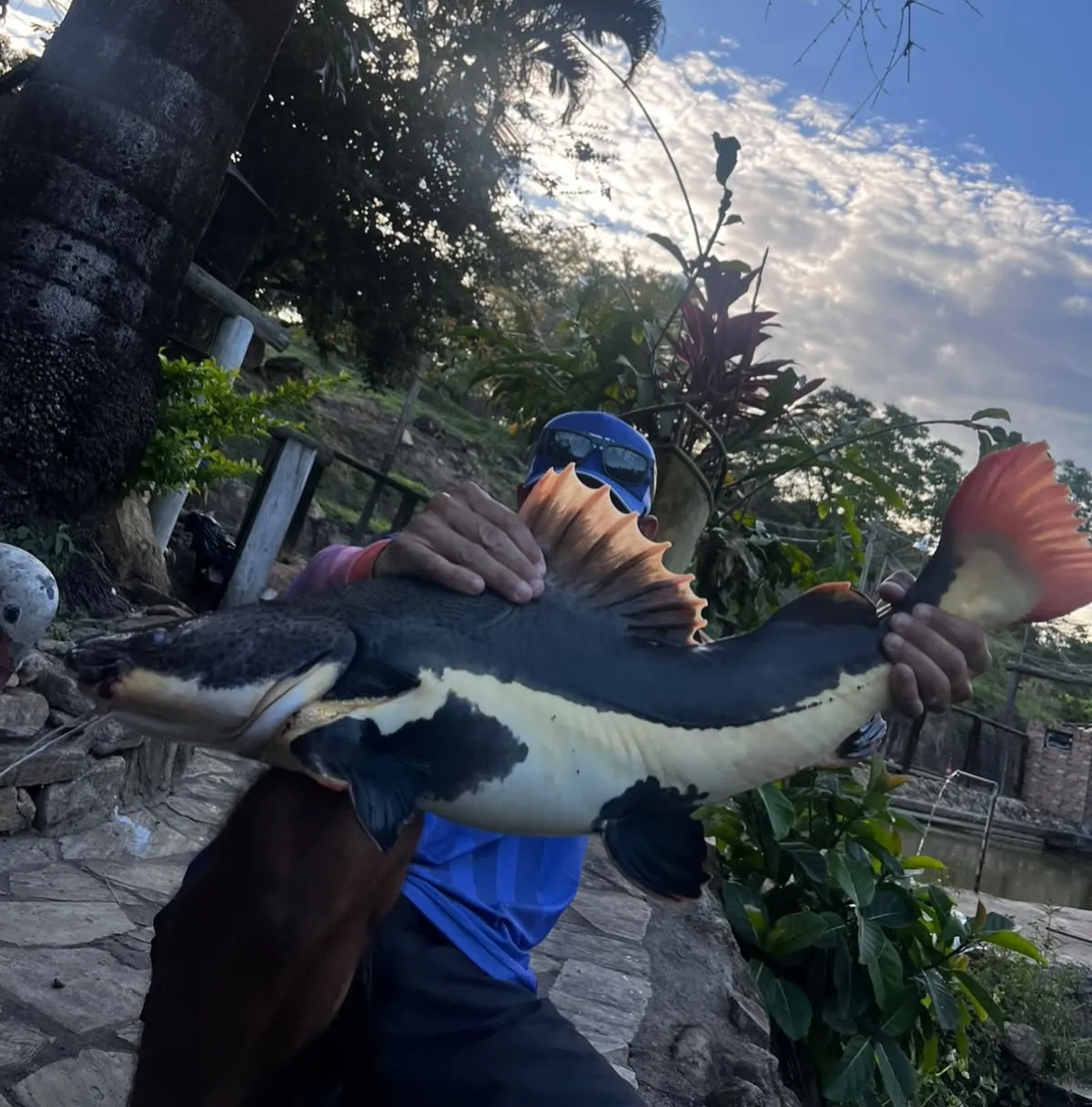 Pesque e Pague do Boneco: pesca e lazer no fim de semana