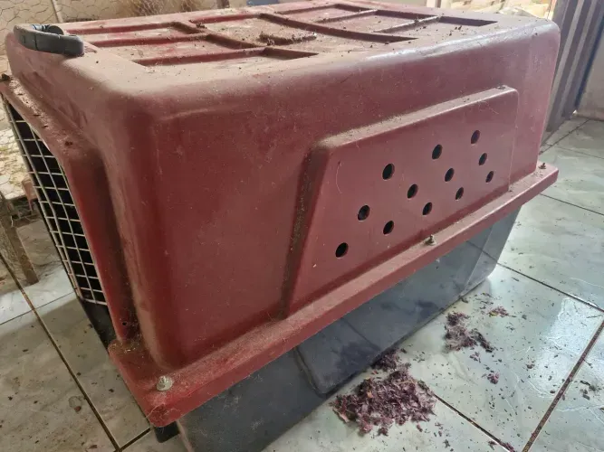 Vende-se casinha de cachorro N°5