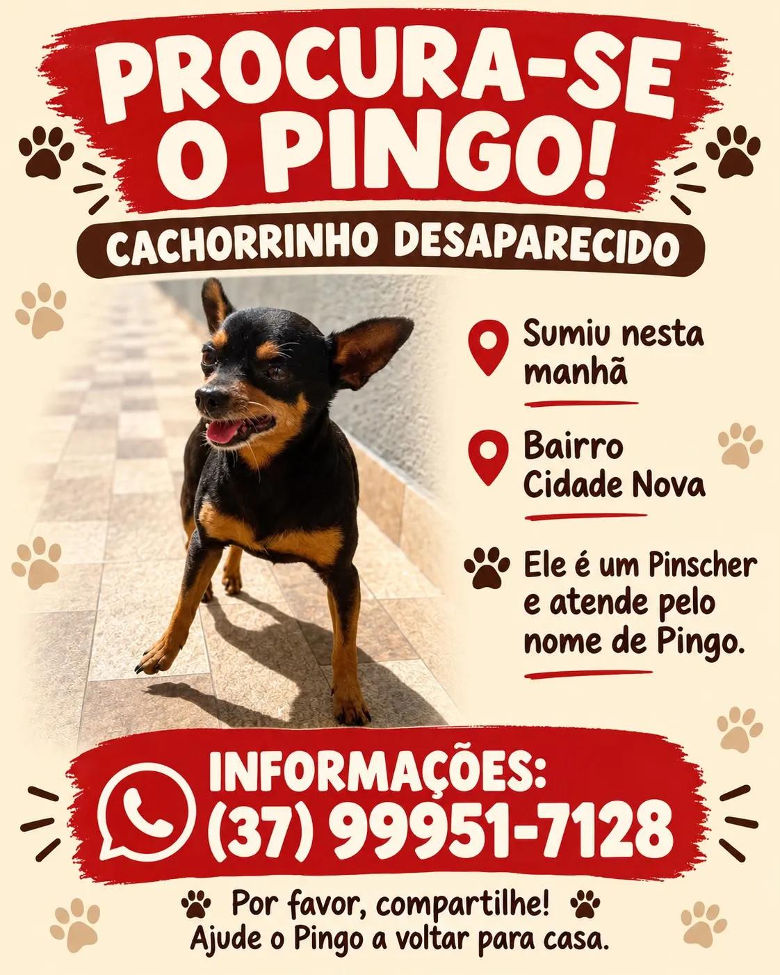 Procura-se Pingo