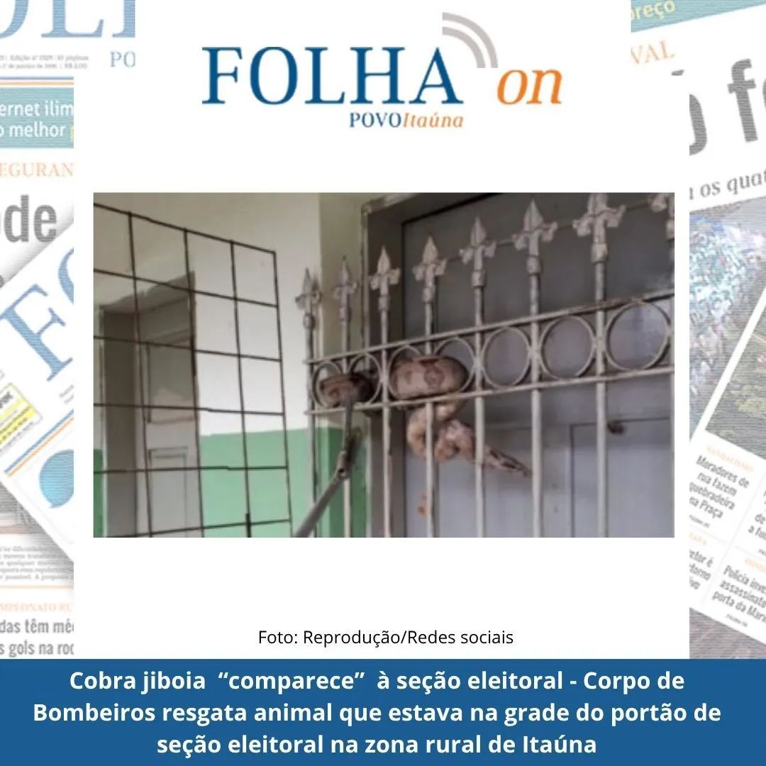 Jiboia resgatada em seção eleitoral no Retiro dos Farias
