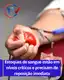 Hemominas alerta para estoques críticos de sangue