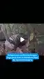Homem foge da PM e abandona filha em Carmo do Cajuru