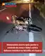 Motociclista morre em acidente na MG-050