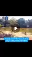 Pesca esportiva no Parque Ecológico Cordovil Fonseca