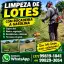 Limpeza de Lotes