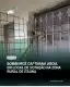 Bombeiros capturam jiboia em local de votação na zona rural
