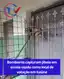 Jiboia é capturada em escola na zona rural