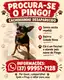 Procura-se Pingo