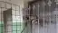 Corpo de Bombeiros resgata jiboia em zona rural