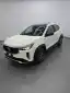 Fiat Fastback Limited Ed.1.3 270 T.flex Aut. 2024