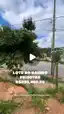 Lote à venda no bairro Peixotas – 427m²