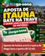 Aposta de Itaúna acerta quina da Mega-Sena e leva R$ 32 mil — Centro