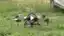 Curso Senar: uso de drones na agricultura