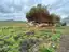LOTE - GARCIAS – Terreno de 480m²