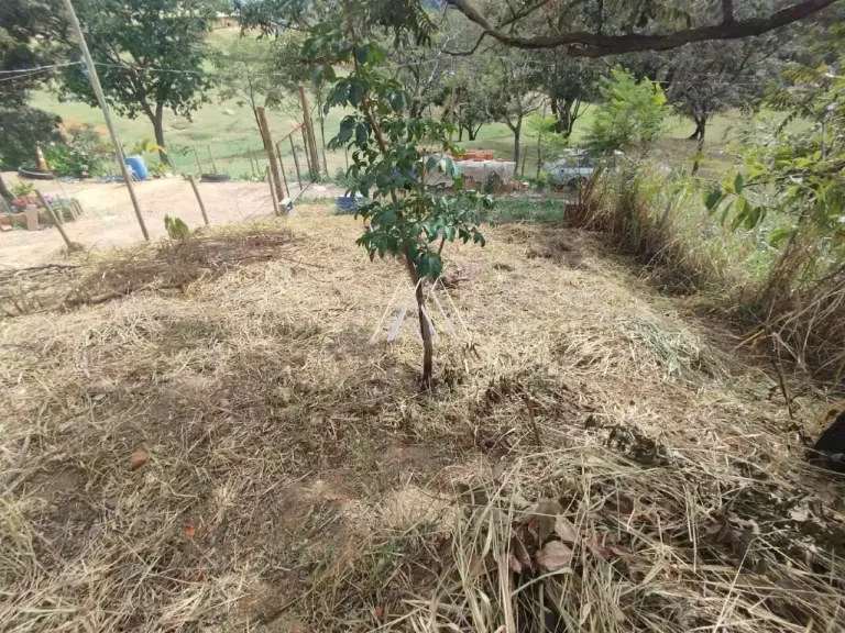 Chácara Rural Sem Construção 1.000 m² à venda em Itaúna