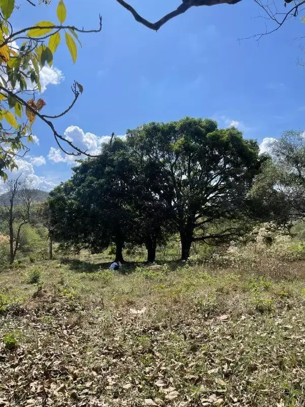 Lote à venda, Varzea da Olaria