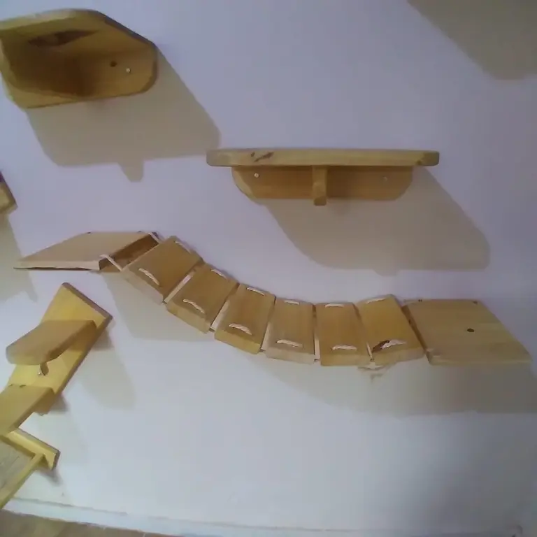 Gatinho Arteiro