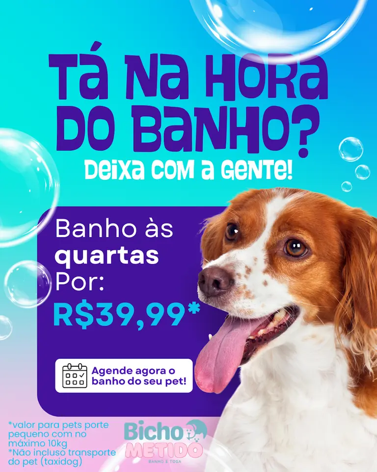 Bicho Metido Banho e Tosa