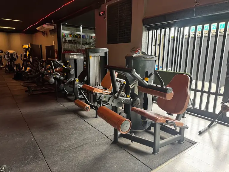 RXFit academia
