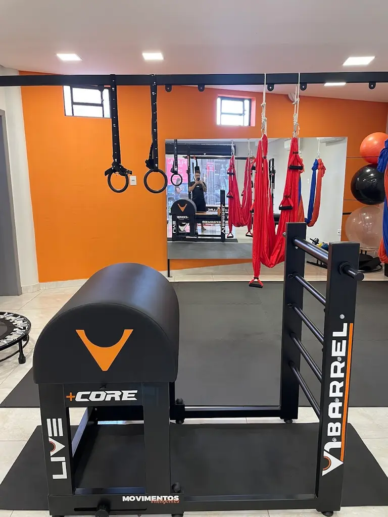 Larissa Menezes fisioterapia e pilates