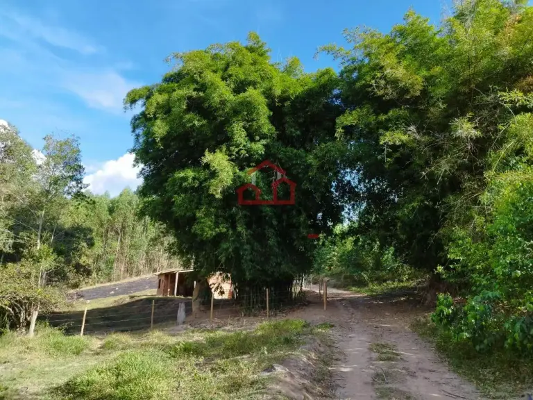 Chácara 2 quartos à venda em Córrego do Soldado