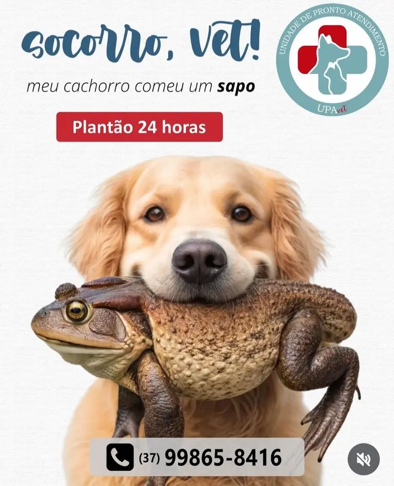 Clínica Veterinária Upa Vet Itaúna - Unidade Particular de Pronto Atendimento Veterinário
