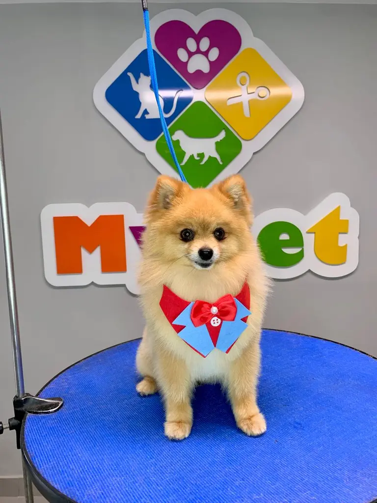 Mypet Itaúna