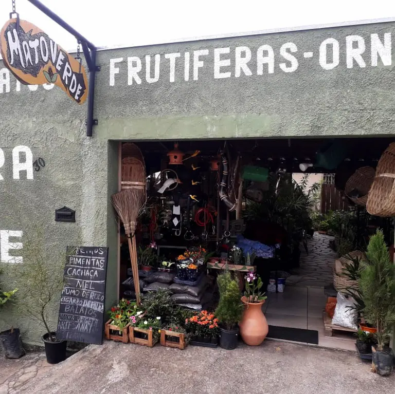 Floricultura Mato Verde, Plantas, Jardins e Paisagismos, Orquídeas, Vasos, Terra preta, Flores
