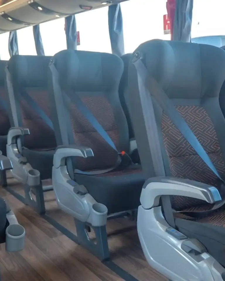 Rouxinol renova frota com 52 novos ônibus Marcopolo