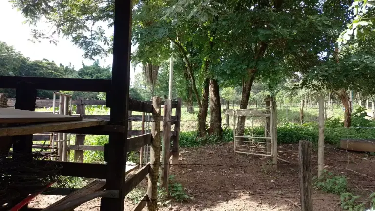 Chácara 3 quartos à venda no Coelhos