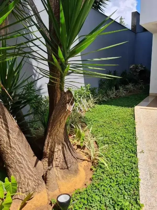 Alto padrão, sofisticação e conforto em cada detalhe no Belvedere