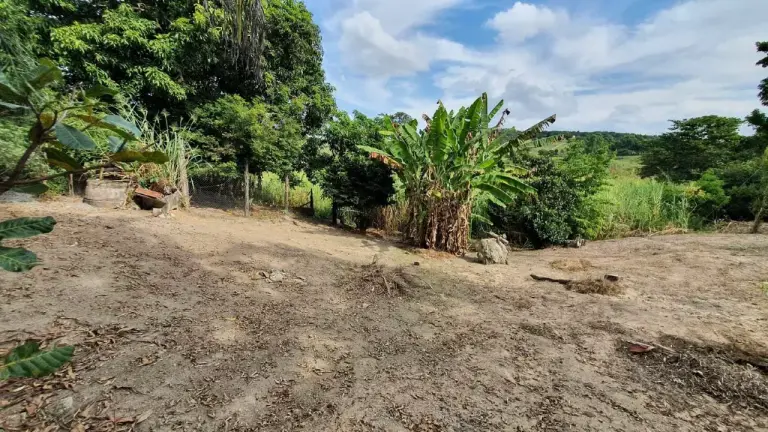 Sítio à venda, 3 quartos, Paulas (Zona Rural)