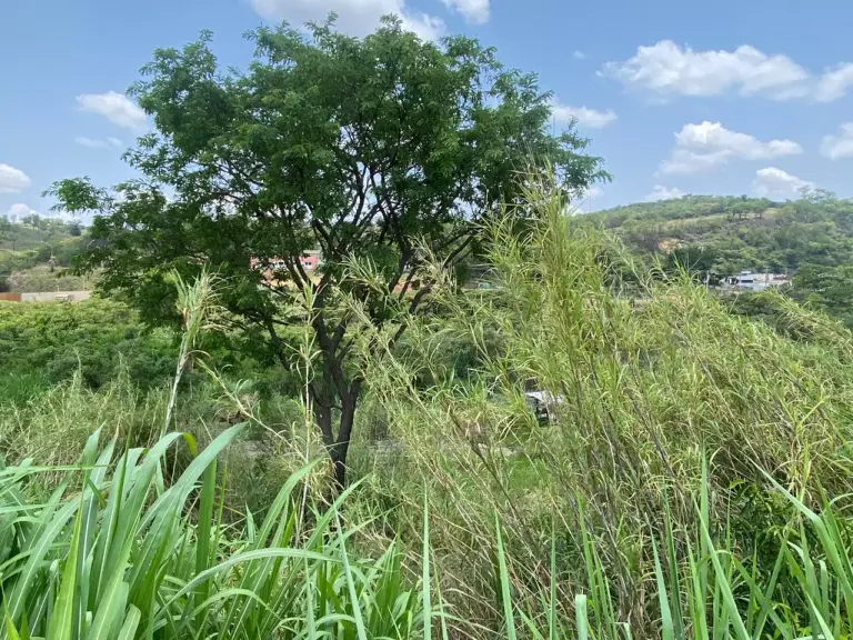 Lote 300 m² à venda no João Paulo II