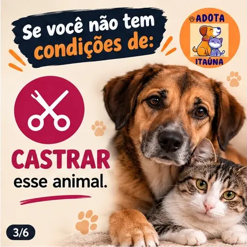 Não adote por impulso: pense antes de adotar um animal