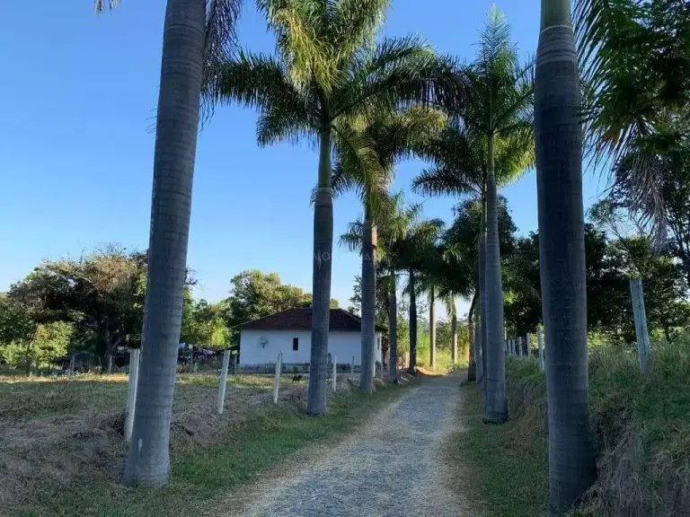Sítio na região dos Paulas