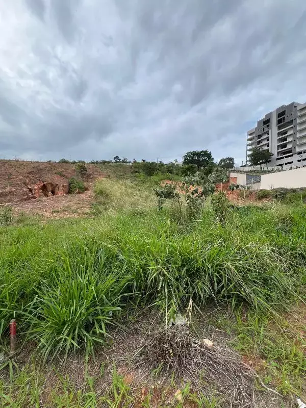 Lote à venda, Tropical