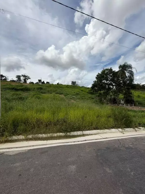 Lote à venda, Monte Carlo