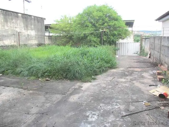 LOTE - ANTUNES
