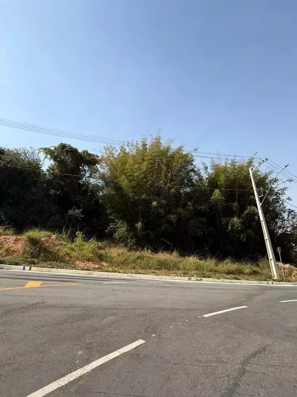 Lote à venda, Monte Carlo