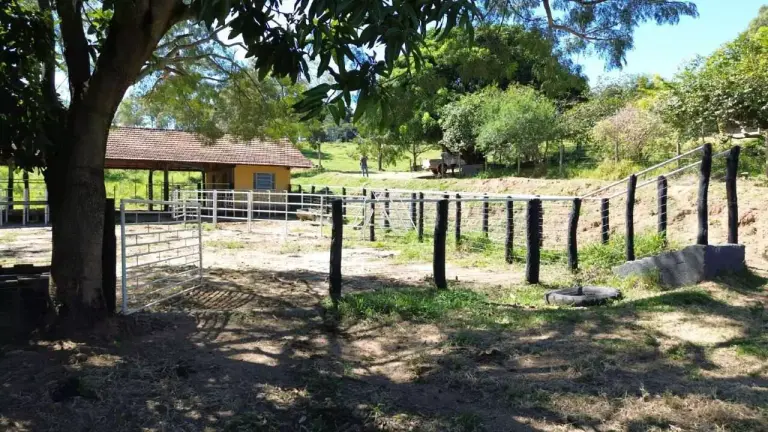 Vendo fazenda no Angicos com 33 hectares rica em água!