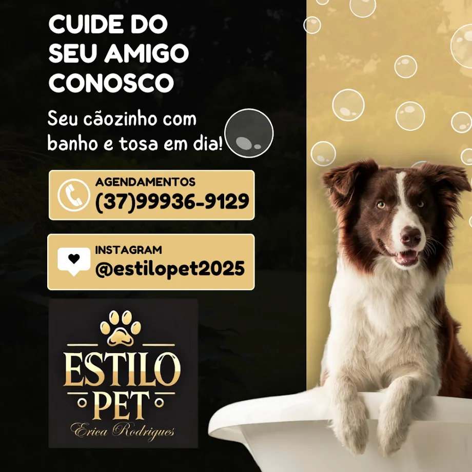 Estilo Pet