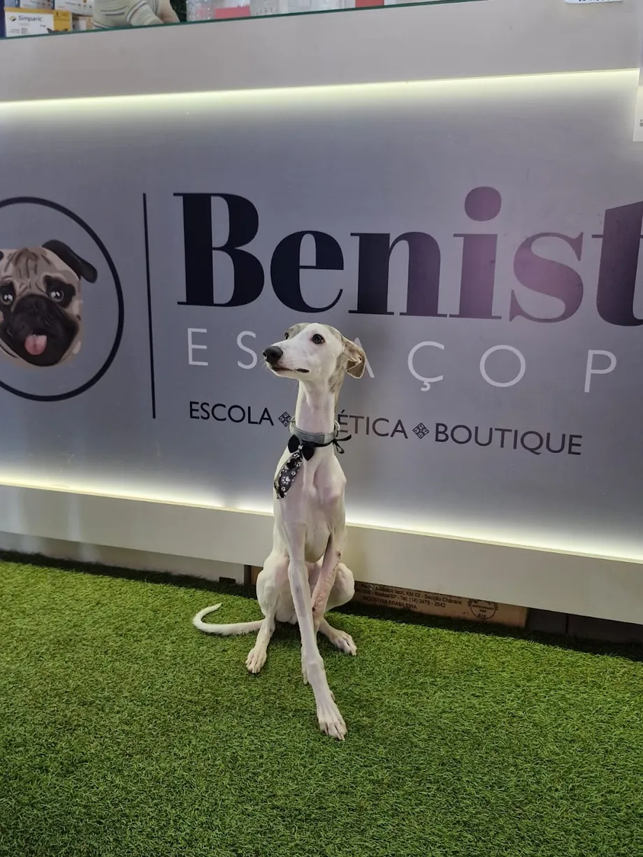Benistari Espaço Pet