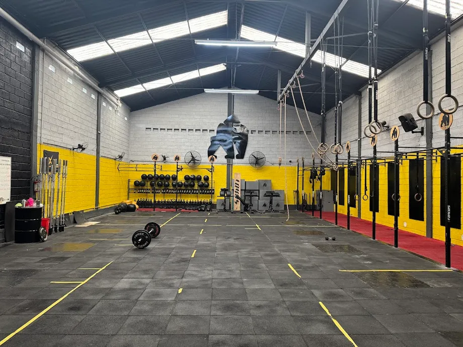 RXFit academia