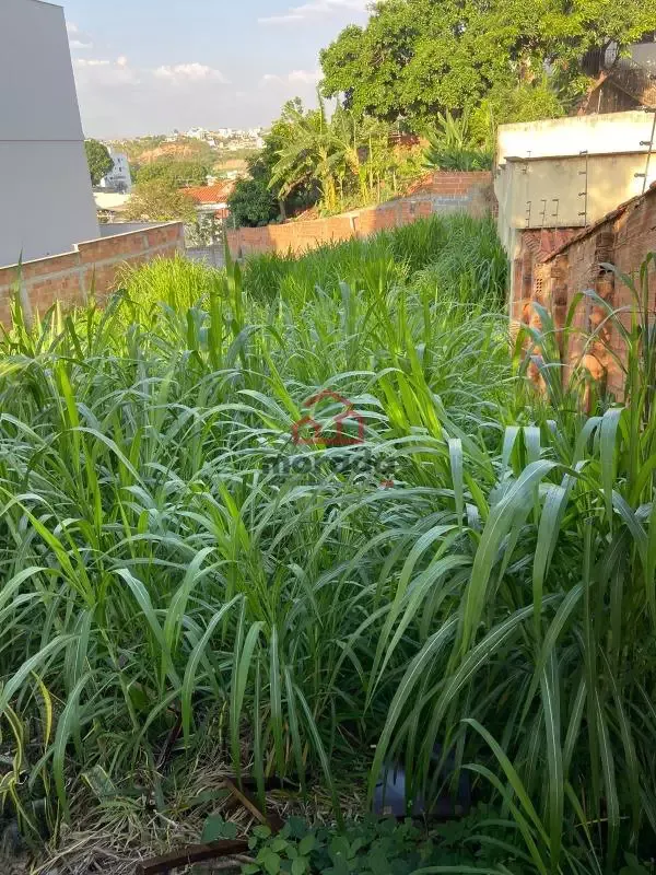 Lote à venda no Lourdes com 405 m²