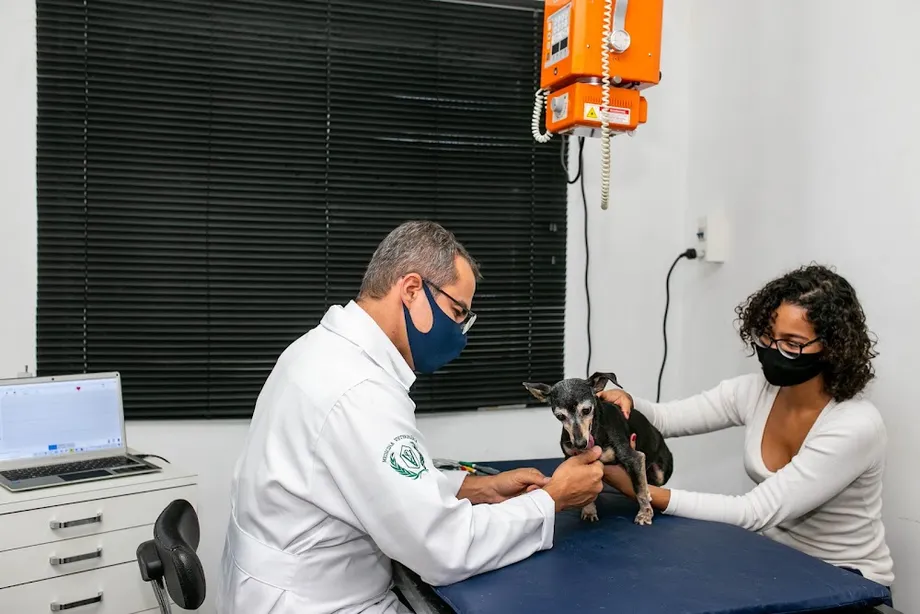 ZOOTEC - Centro de Diagnóstico Veterinário