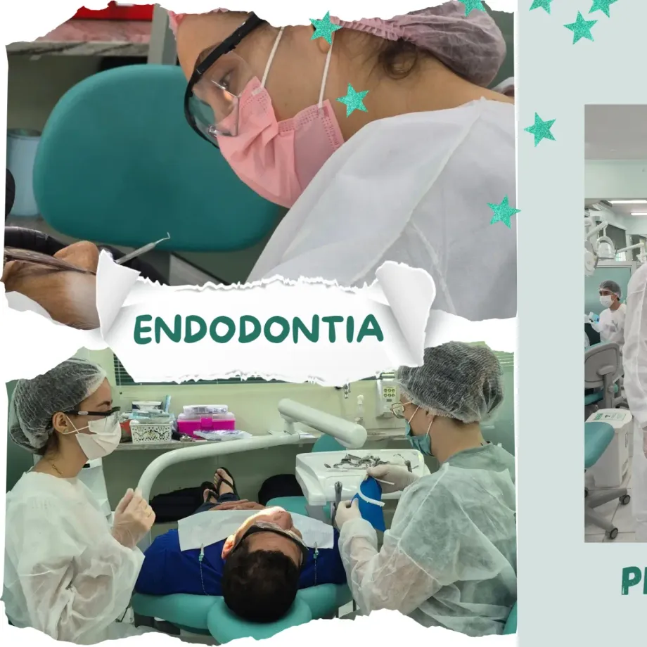 Clínica de Endodontia da UIT – Prática Profissional