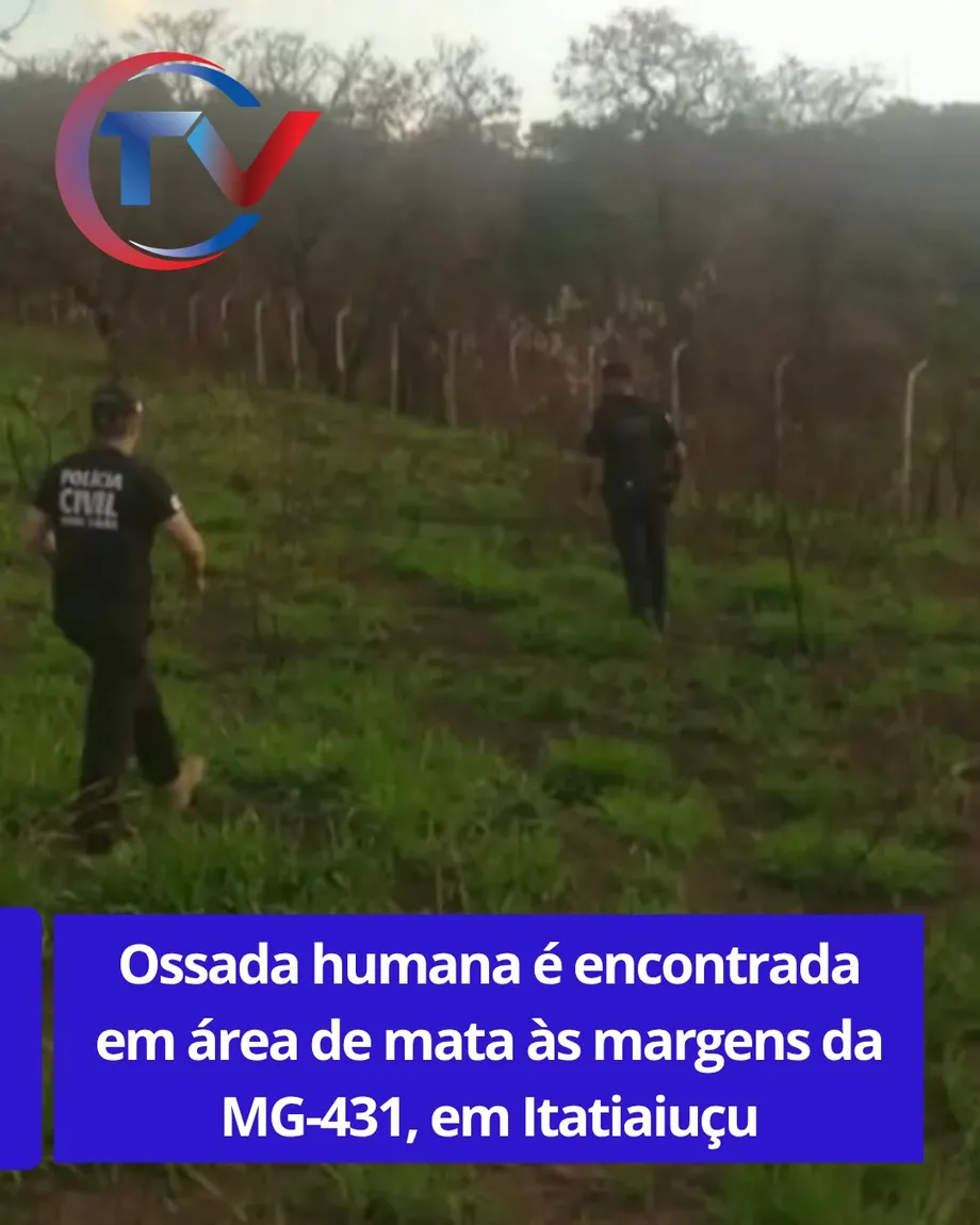 Ossada humana é encontrada às margens da MG-431 em Itatiaiuçu