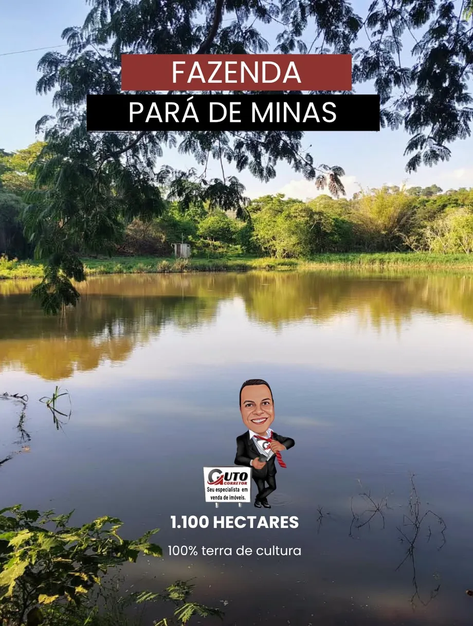 Fazenda à venda em Pará de Minas – 1.100 hectares